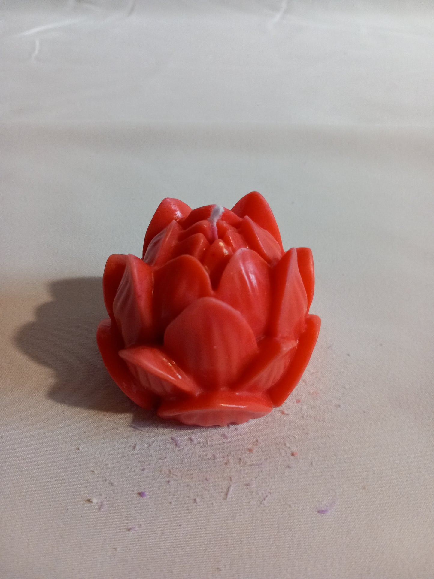 Blüte