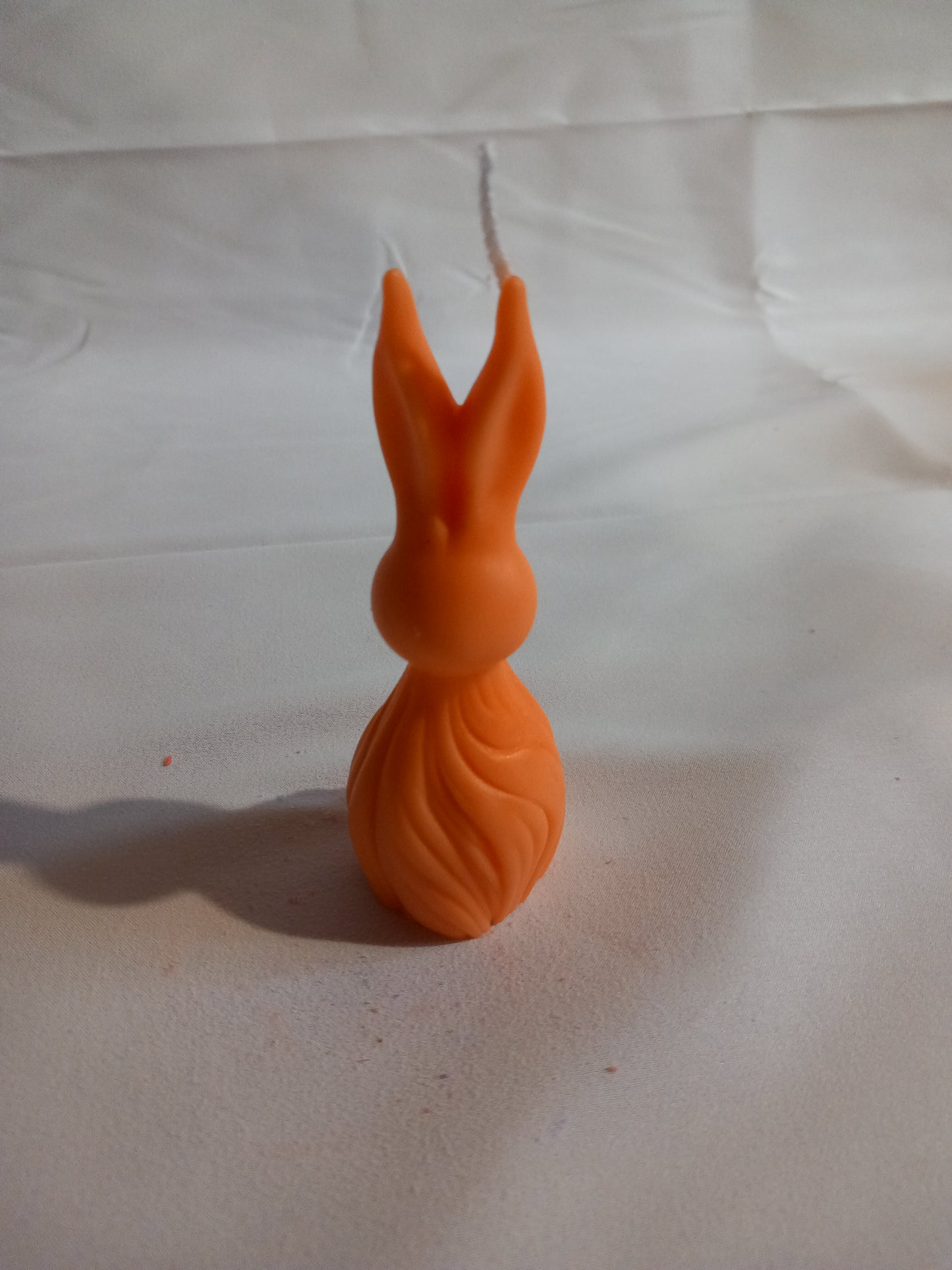 Hase modern