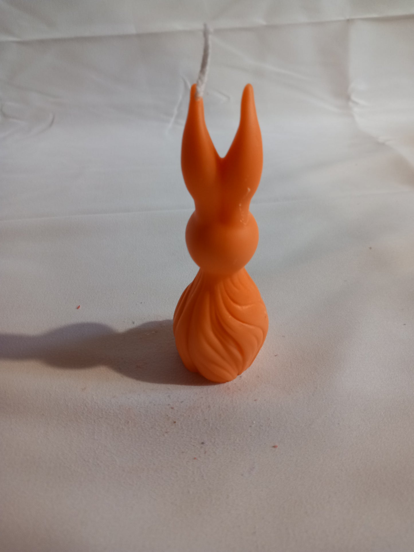 Hase modern