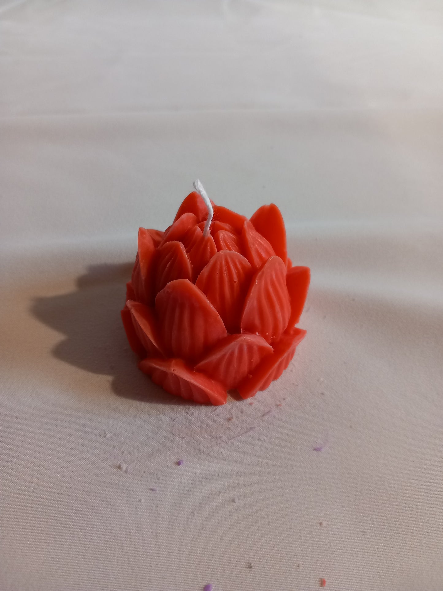 Blüte