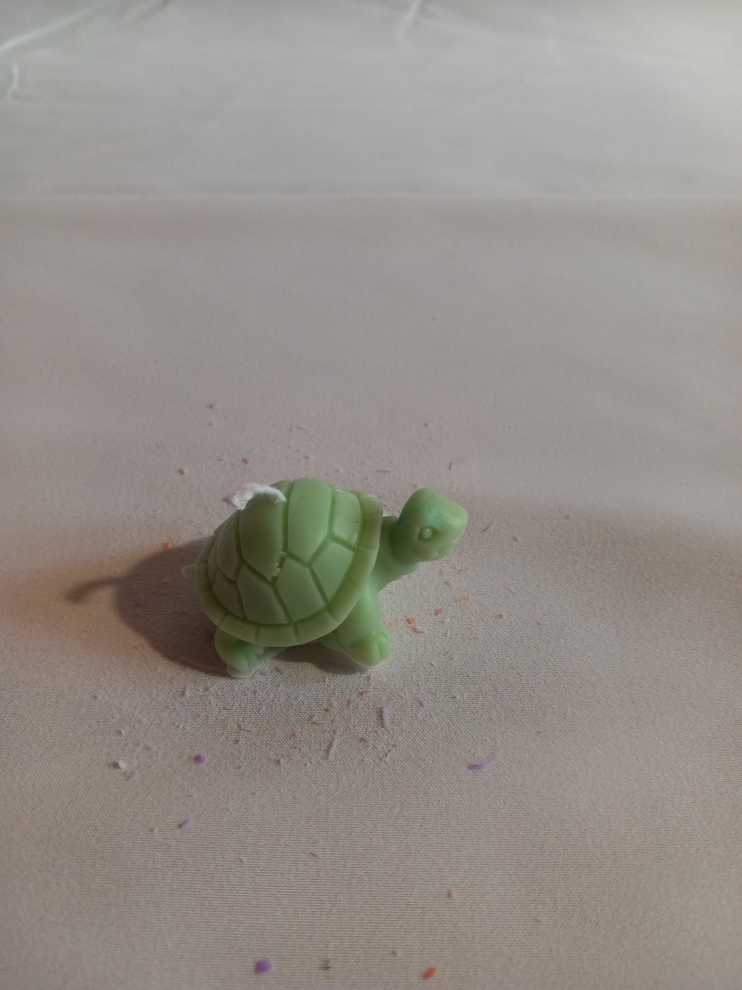Kleine Tiere