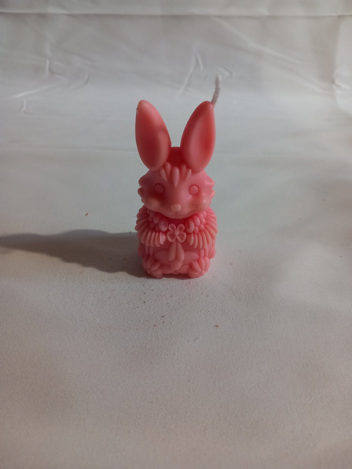 Hase